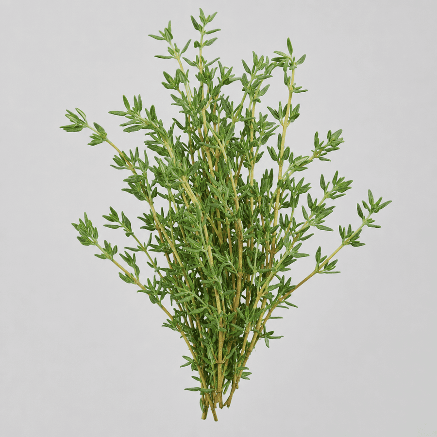 Fresh Thyme