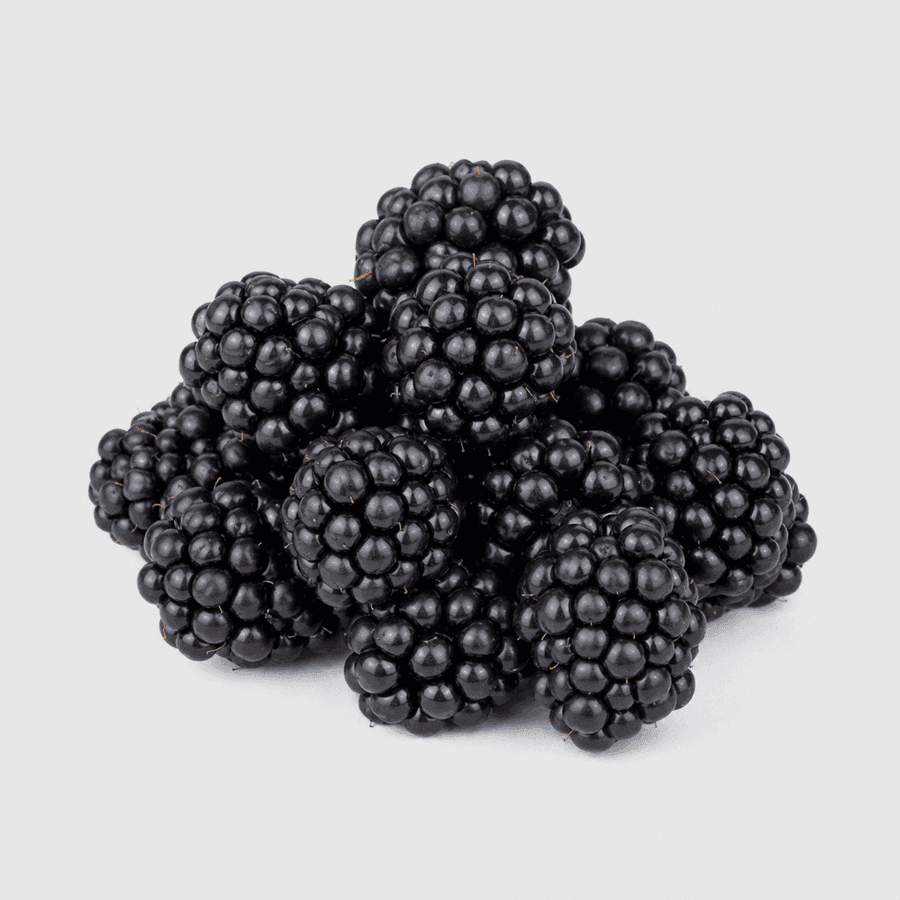 Fresh Blackberry