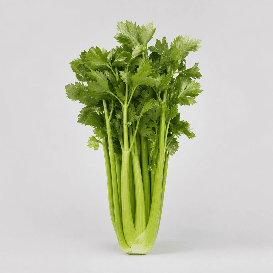 Fresh Celery