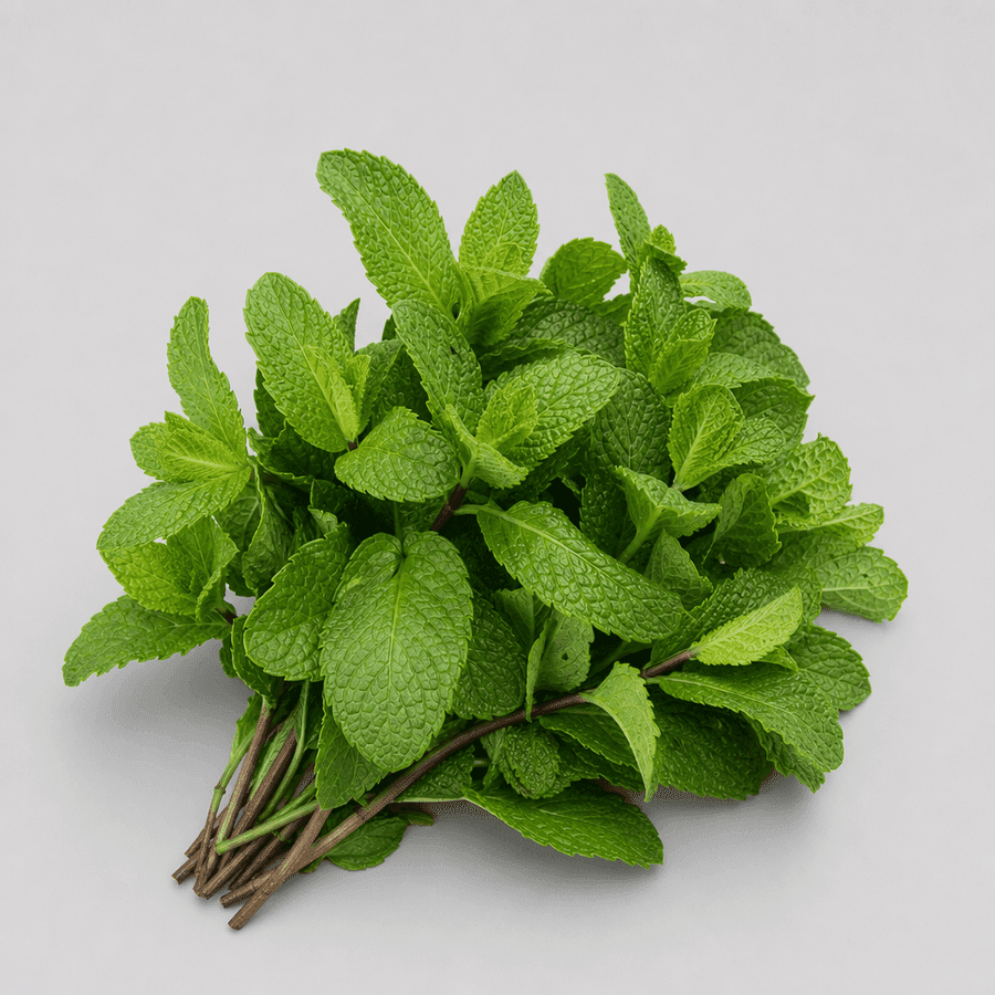 Fresh Mint